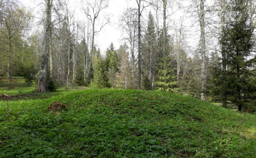 29. Mošos (Skrebio) pilkapynas.jpg